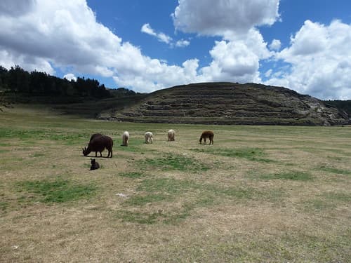 Sacsayhuamán Inca site Pérou en 2011