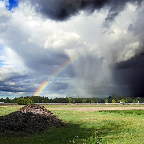 Le Fumier et l'Arc en Ciel