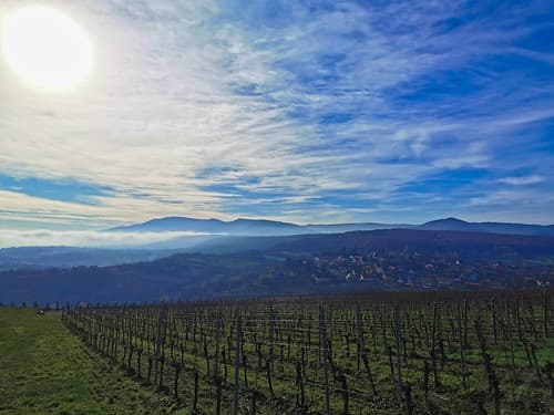 Rosenwiller et les montagnes brumeuses