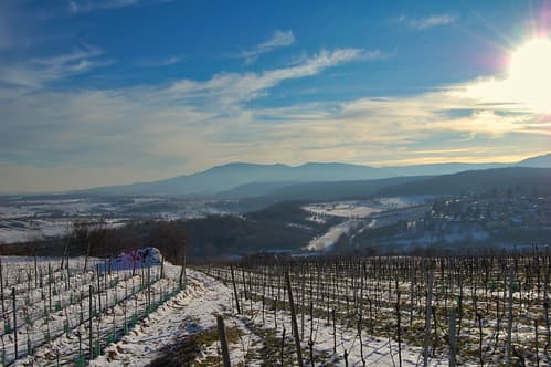 le soleil, la neige et les montagnes