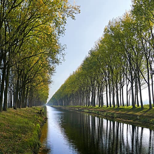 Schipdonkvaart-Zuid, Damme (B)