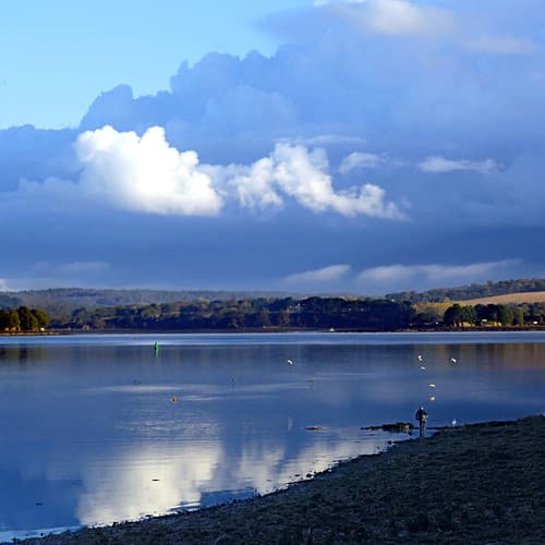 Térénez, Rade de Brest
