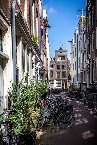Les ruelles et leurs vélos