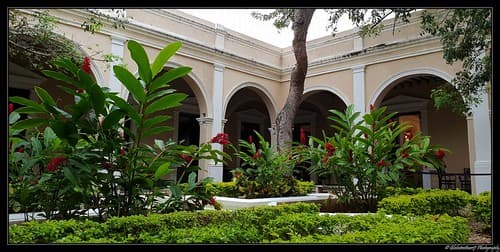 Mérida. (Etat de Yucatán). Mexique.