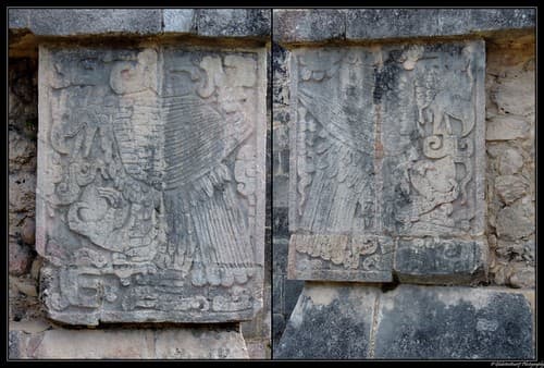 Chichén Itzá. (Etat de Yucatán). Mexique.