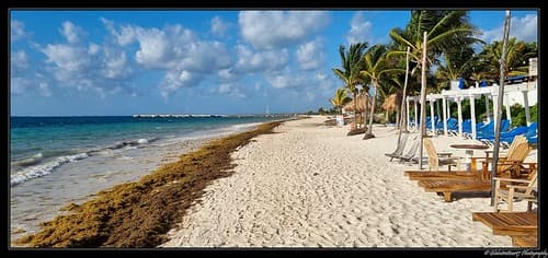 Puerto Morelos. (Etat du Quintana Roo). Mexique.