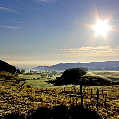 Matin d'été à Vassivière