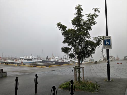 LE PORT DE BODØ