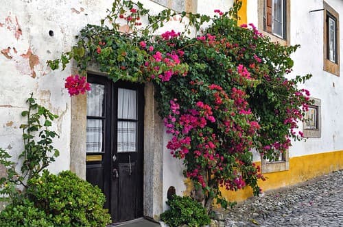 Casa da Buganvilia