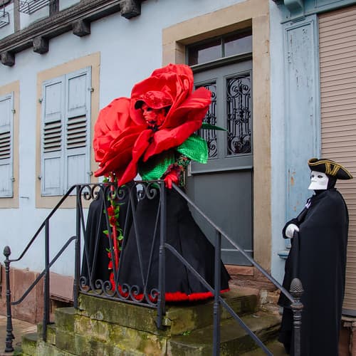 S'ouvrir comme une fleur ! - Carnaval vénitien de Rosheim #3