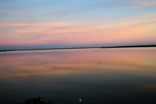Camargue