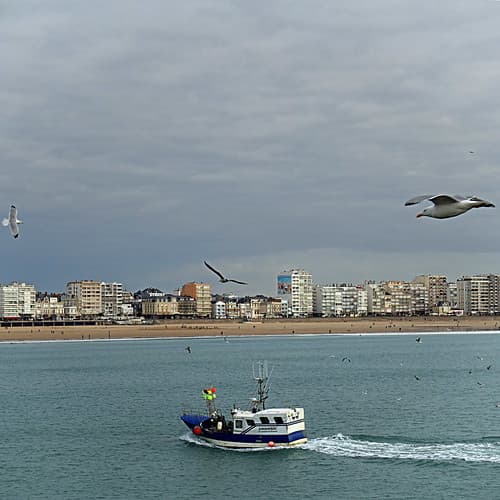 Amdoric, Les Sables-d'Olonne