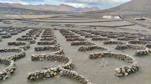 lanzarote lago verde