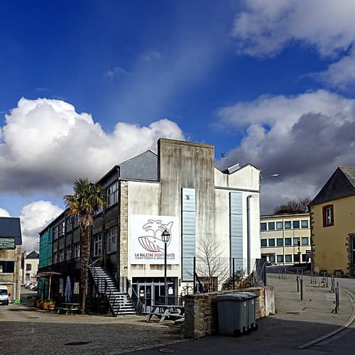 La Baleine Déshydratée, Quimper