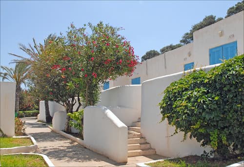 La Corne d'or (Tipaza, Algérie)