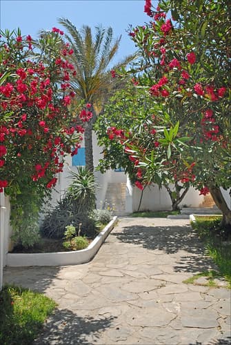 La Corne d'or (Tipaza, Algérie)