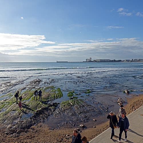 Les Oies des Sables