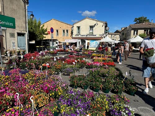 Petit marché aux fleurs de Castries