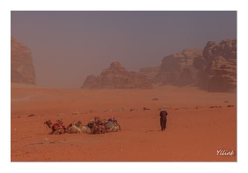 Desert de Wadi Rum Jordanie