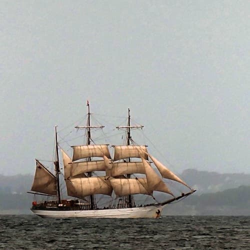Le Français