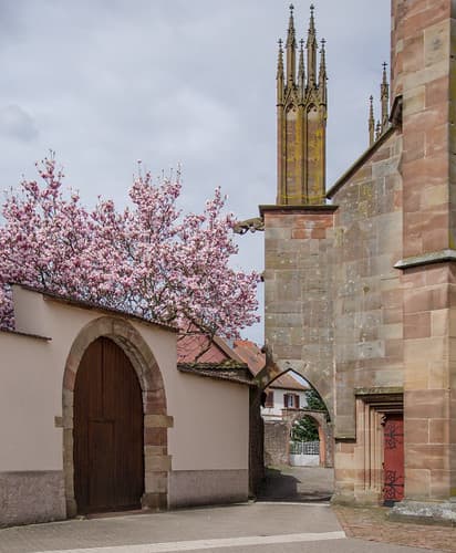 Un curieux petit passage à l'ombre du Magnolia