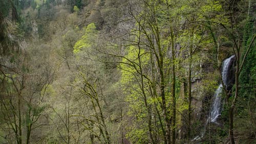 Nature, juste nature