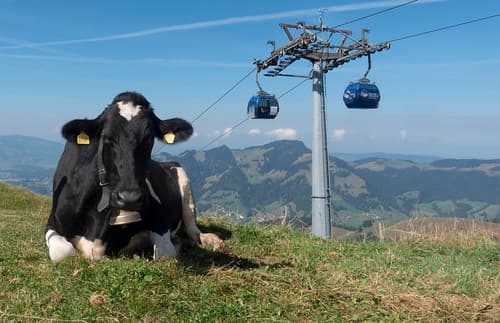 Charmey, Gruyères