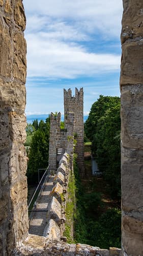 DSCF8079