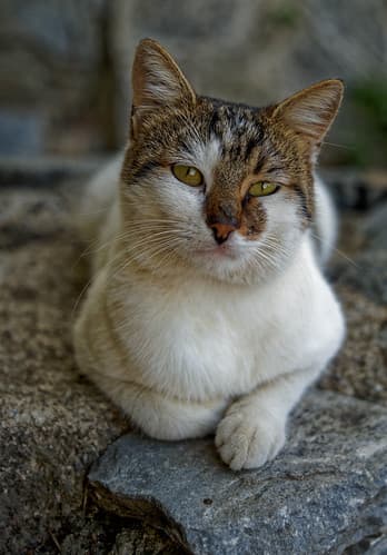 2023-10-04_14-57-48_ILCE-7C_DSCAR9293_DxO