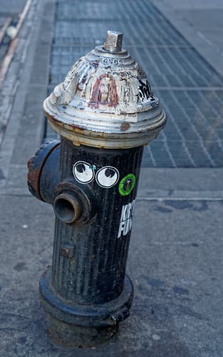 2024-02-03_08-40-55_ILCE-7C_DSC18573_Kiri_DxO