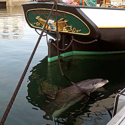 Brest, Finistère, France