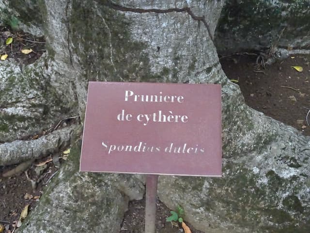 Voyage à Cythère