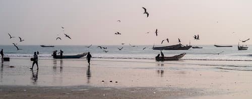 Fishing culture at Cap Skirring, Senegal
