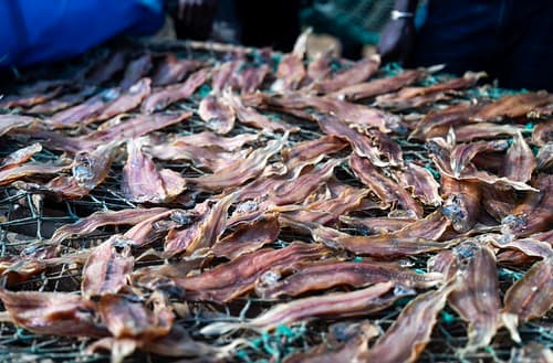 Fish processing at Cap Skirring, Senegal