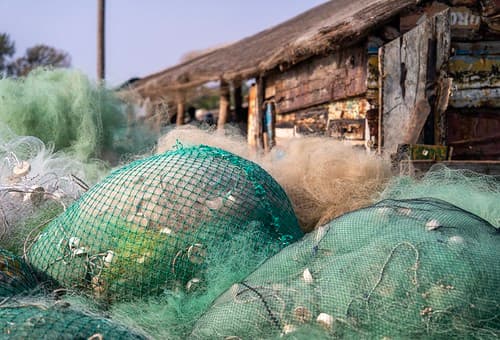 Fishing culture at Cap Skirring, Senegal