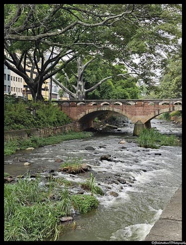 Cali. Colombie. Colombia.