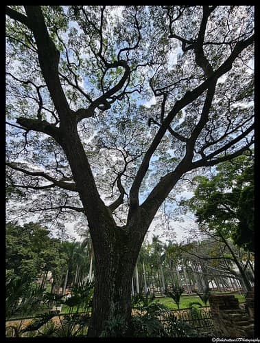 Cali. Colombie. Colombia.