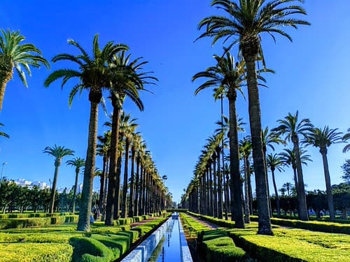 PARC DE LA LIGUE ARABE