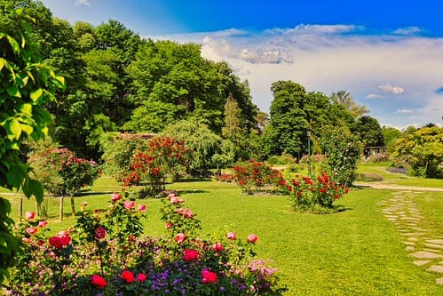 Lyon, parc de la Tête d'Or 29