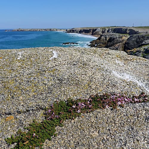 Quiberon, Morbihan, France