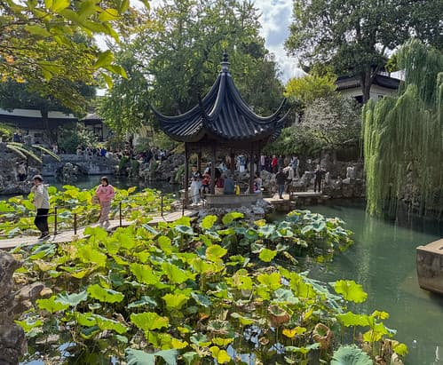 Chinese garden