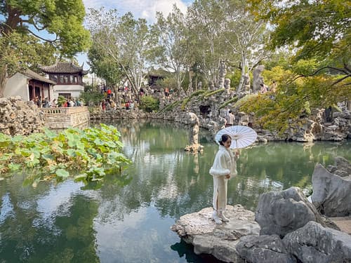 Lion Grove garden