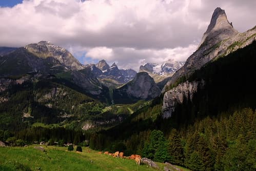 Pralognan-la-vanoise