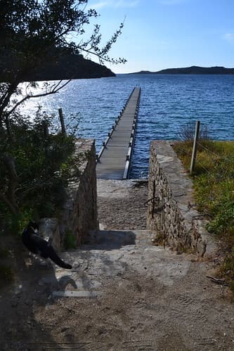 Sur l'île presque déserte de Port Cros