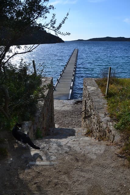 Port cros