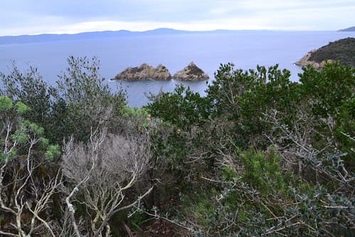 Rocher du Rascas, île de Port-Cros