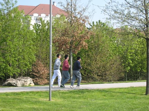Marne La Vallee, Paris, France 177