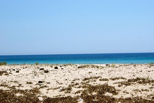 Plage sauvage vers Kelibia
