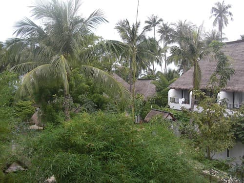 The Mimosa Resort & Spa