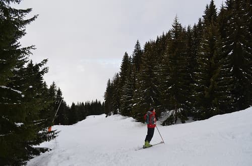 Les Houches